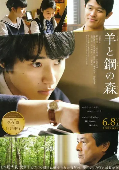 《羊与钢的森林》：一首关于青春与梦想的钢琴诗，在寂静中寻找生命的共鸣