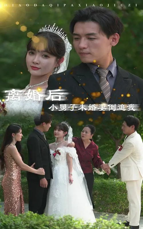 离婚后桃花运爆棚？《离婚后，小舅子未婚妻倒追我》：狗血剧情下的真香定律！