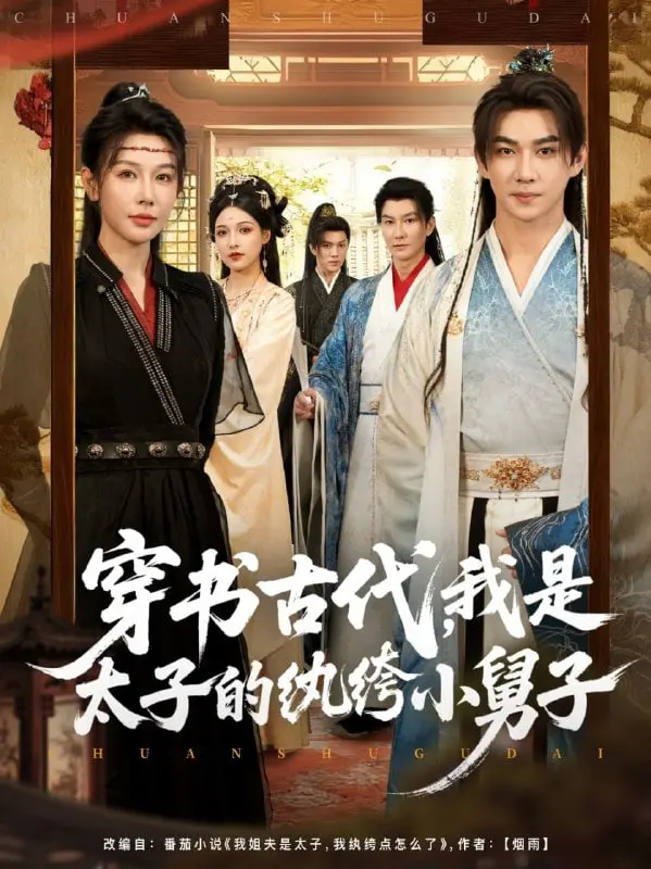 爆笑来袭！《穿书古代，我是太子的纨绔小舅子》：看现代社畜如何玩转古代官场