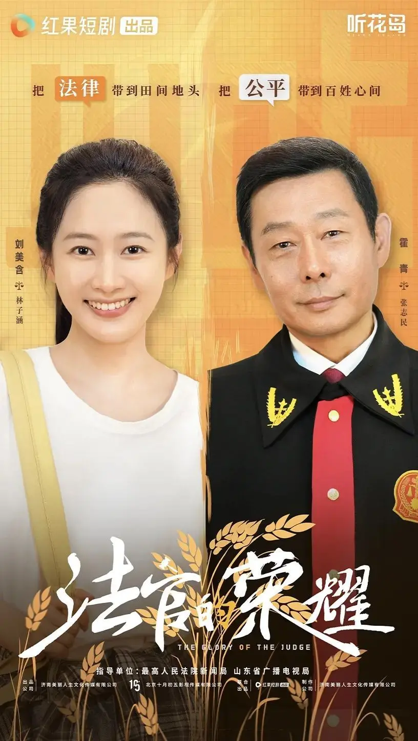 《法官的荣耀》：当正义披上荣耀，法律的审判，人性的是非！